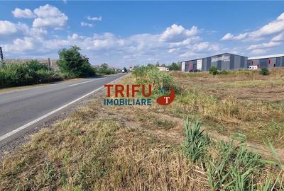 Teren Construcții intravilan de 5756 mp, în Ampoi 1