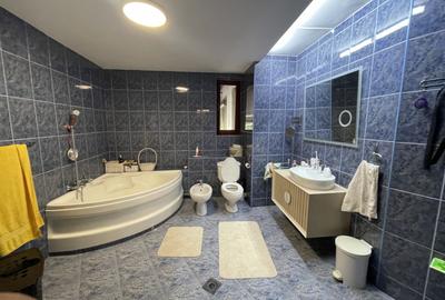 Drumul Taberei, Prel Ghencea, vila individuala, 9 camere, 420mp, teren 1160 mp - 13