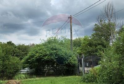 Domeniu rural, gospodarie/multifunctionala cu casa, livada, vie - 13
