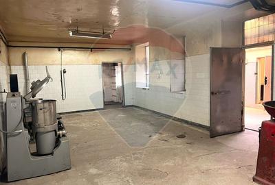 Oportunitate în Centrul Istoric –Spațiu comercial 299 mp utili, Brașov - 6