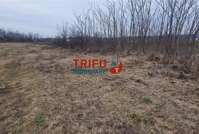 Teren Construcții intravilan de 1091 mp, în Cetate