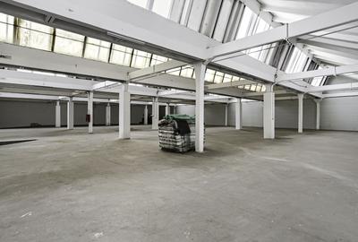 Hala Industriala de inchiriat 1.174 mp cu rampa egalizatoare, Arad - 8