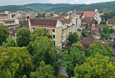 APARTAMENT ULTRACENTRAL,FINISAT,MOBILAT SI UTILAT CU PANORAMA SUPERBA - 15