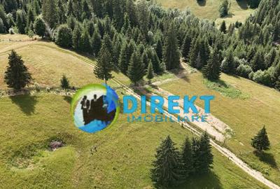 Teren agricol extravilan de 5000 mp, în Piatra Fântânele