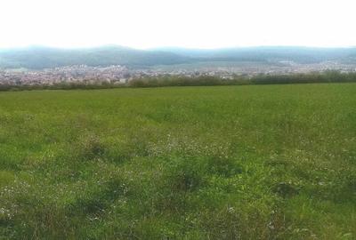 Teren Construcții intravilan de 2900 mp, în Florești