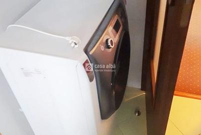 Podul de Fier - Iasicon, 2 camere mobilat si utilat, 2 balcoane - 12