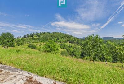 Casă de vacanță cu 2 corpuri si view în Dulcele - 19