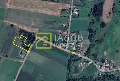 Teren intravilan, sat Petricica, comuna Strugari, Bacau - 2