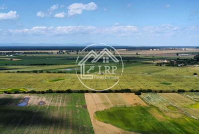 Teren Intravilan 20.000 mp Creața Dascălu, T66– dubla deschidere - 4