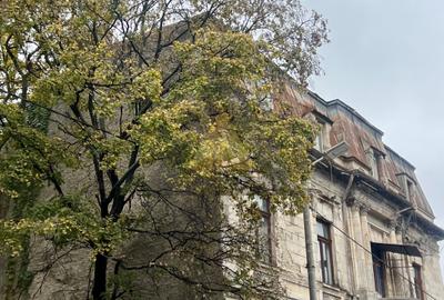 OCCIDENTULUI | SFINTII VOIEVOZI | BUZESTI | APROPIERE METROU PIATA VICTORIEI - 2
