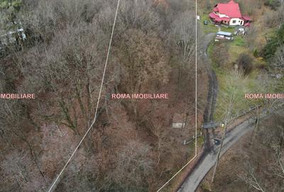 TEREN INTRAVILAN – TĂUȚII-MĂGHERĂUȘ  Lângă Cabana Apa Sărată - 6