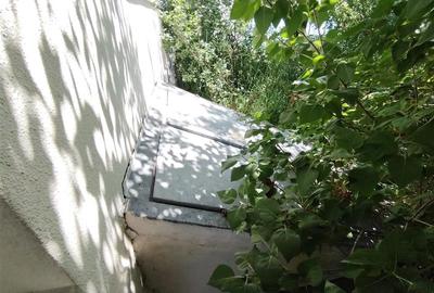 Casa de locuit (Ditrau, str. Livezii) - 12