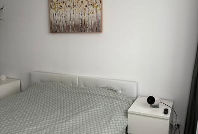 Inchiriere apartament 2 camere Hils Brauner- 1 decembrie liber - 27