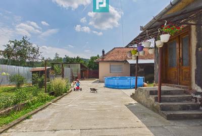 2 case cu teren de 2253 mp în Archiș - 9