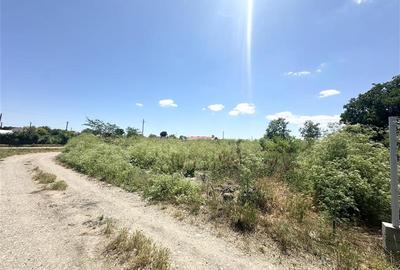 Teren Intravilan 1700 mp - Localitatea Amzacea - 1