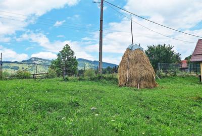 Teren de 1000mp in Bran, satul pitoresc Pestera - 9