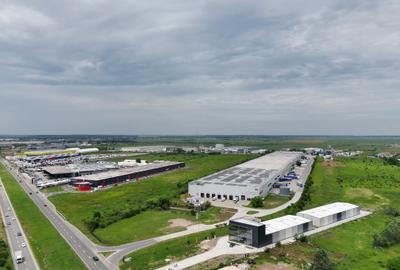 Showroom + hale depozitare centura Nord Chitila - 7