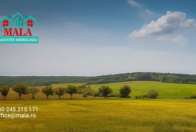 Teren in Valea Voievozior str.Tudor Vladimirescu - 1