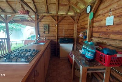 Snagov- Gruiu- Santul Floresti -Proprietate cu stil pentru oameni gospodari! - 41