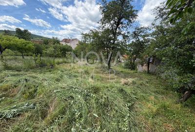 Teren intravilan  - Sat. Rod - Tilisca - 1