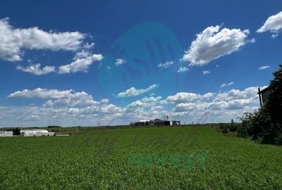 Teren intravilan 1.000 mp | Lângă Balta Pasărea | 20 de min de București - 5