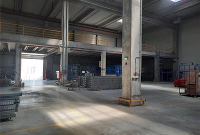 Spatiu Industrial - 4000 mp - Logistica - Productie - Depozitare - Distributie - 9