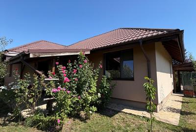 VANZARE CASA INDIVIDUALA/110MP UTILI/TEREN 550MP/DUMBRAVENI BALOTESTI - 5