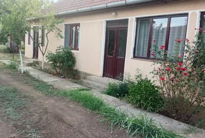Vanzare Casa in localitatea Bodrogu Nou - 1