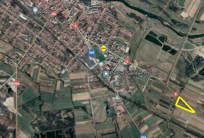 Teren Construcții intravilan de 11663 mp, în Lugojului