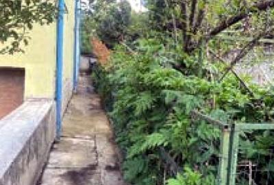 Vilă tip duplex, 6 camere | Bucureștii Noi | 301 mp teren | S P 1E M | - 1