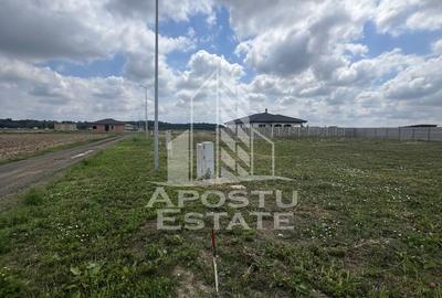Teren Construcții intravilan de 608 mp, în Ghiroda