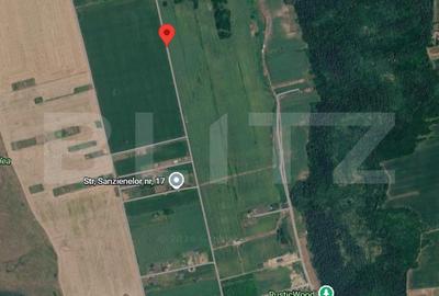 Teren Construcții intravilan de 2426 mp, în Valea Lupului