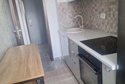 Garsoniera prima chirie boiler- 10 min Tineretului metrou DB2532 - 7