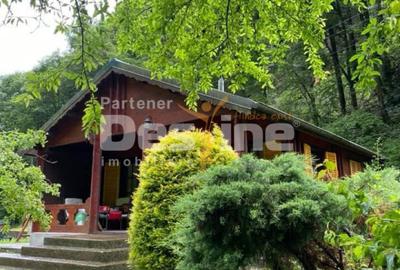 Hotel/Pensiune, în Bicaz