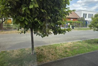 Inchiriez spatiu comercial in zona Lipovei - 7