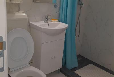 Apartament Pantelimon - 1
