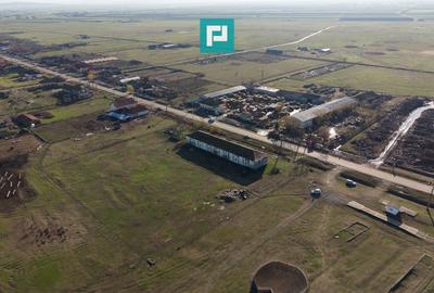 Hală industrială cu teren generos în Zărand, Arad - 40