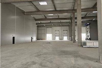 Spatiu Industrial - 1770 mp - Productie - Depozitare - Distributie - 7