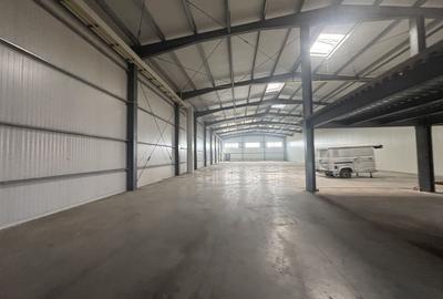 Spatiu de productie si depozitare 885 mp - 11