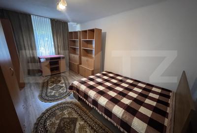 Garsonieră decomandată, mobilată în Brazda lui Novac