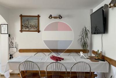 Pensiune - Domeniu montan - Casa si cabana 14 camere de vânzare - 14