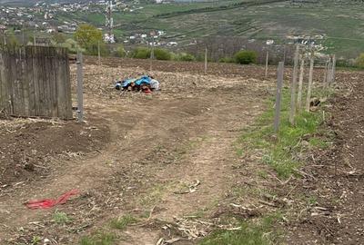 REDIU – 490 MP + COTĂ DE DRUM. DOAR 21.000 €.POSIBILITATE DE PLATĂ ÎN RATE - 5