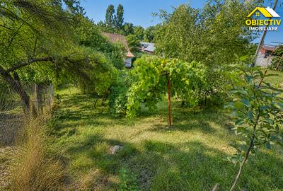 Casa P+E, 222 mp construiti, teren 1.078 mp, Borlesti, jud. Neamt - 7