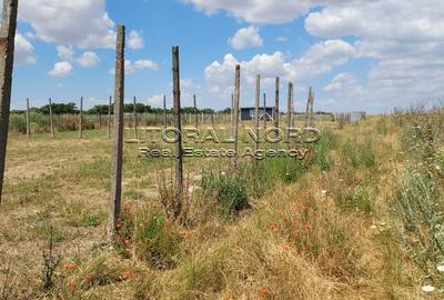 Exclusivitate -Techirghiol, teren intravilan, 423mp, deschidere la strada de 17m - 8