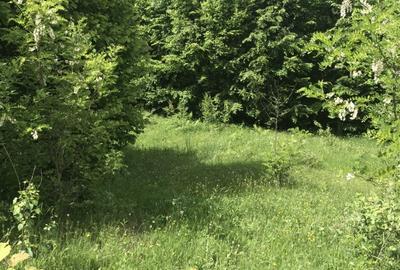 Vand teren in Albestii de Muscel faneata-pasune, partial impadurit - 8