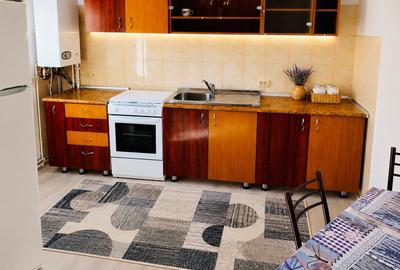 Apartament 2 camere decomandat,zona Mihai Viteazul - 5