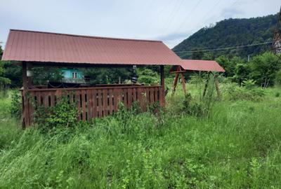 Teren de vanzare Pangarati Preluca / Nord Arin 3600 mp , Cod 159328 - 2