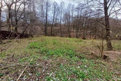 Resita, Teren Drept Intravilan, Langa Prau si Drum, 1308 Mp., 15 Euro Mp., Renk - 14