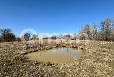 Teren agricol intravilan de 5800 mp, în Berința