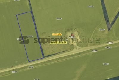 Teren agricol extravilan de 11600 mp, în Sud-Vest